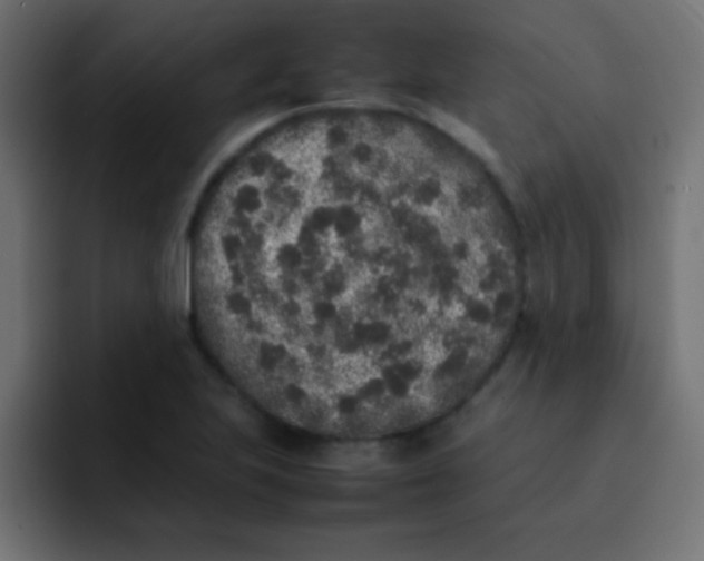 X0000092101223200710031206