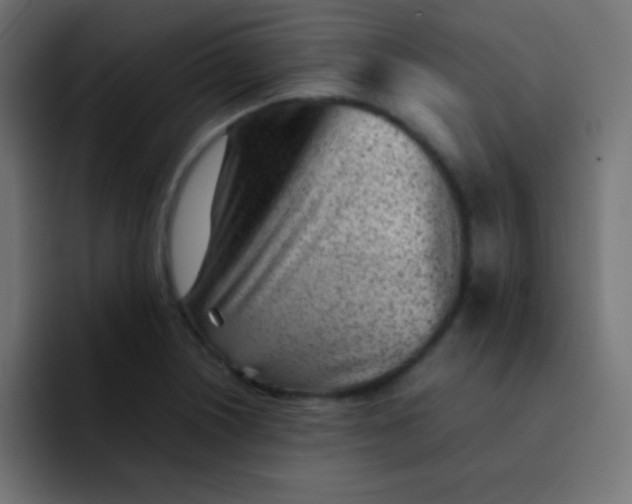 X0000092101226200710031206