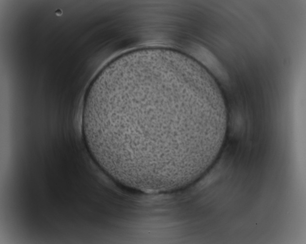 X0000092101228200710031206