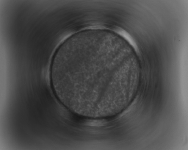 X0000092101229200710031206