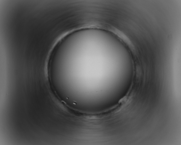 X0000092101230200710031206