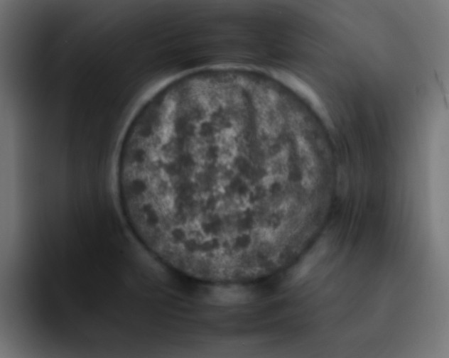 X0000092101231200710031206