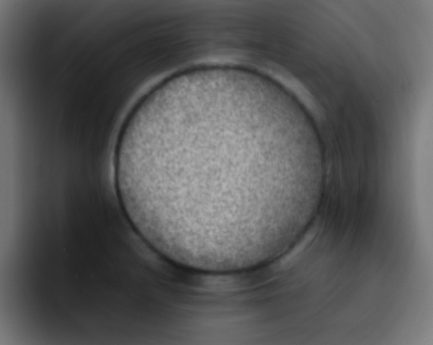 X0000092101232200710031206