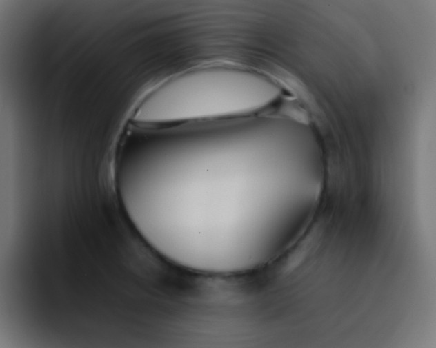 X0000092101234200710031206