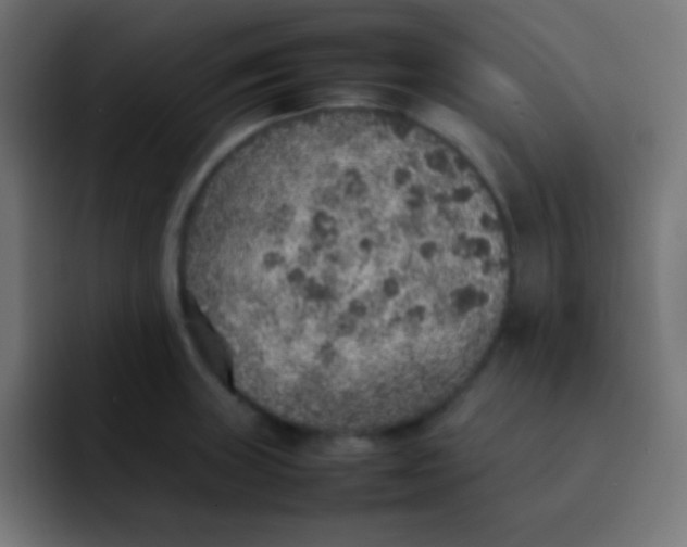 X0000092101235200710031206