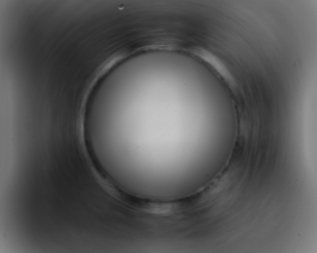 X0000092101237200710031206