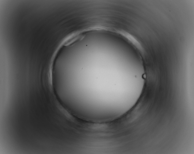 X0000092101238200710031206