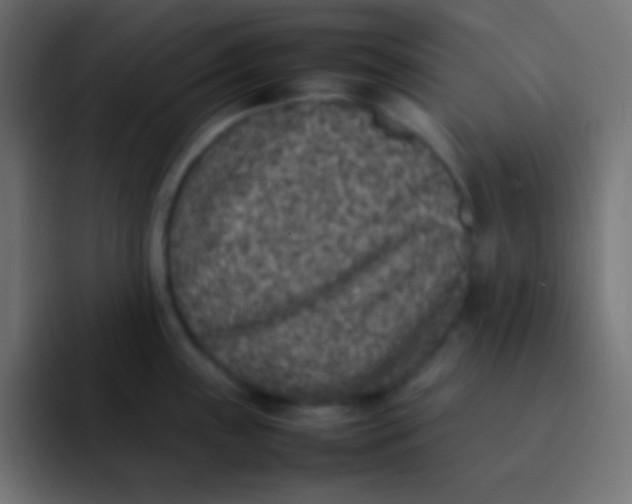 X0000092101243200710031206