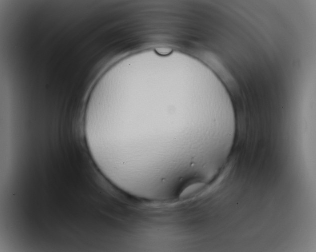 X0000092101244200710031206