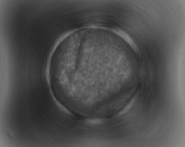 X0000092101247200710031206