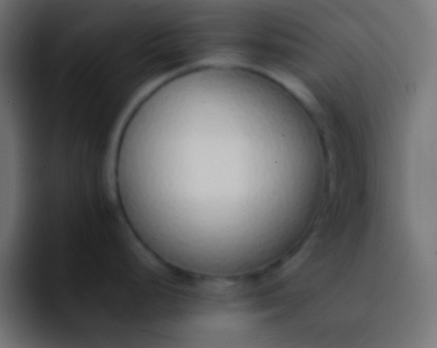 X0000092101248200710031206