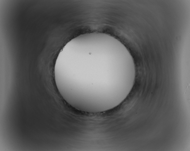 X0000092101249200710031206