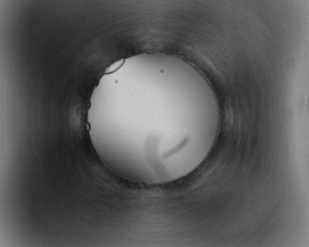 X0000092101250200710031206