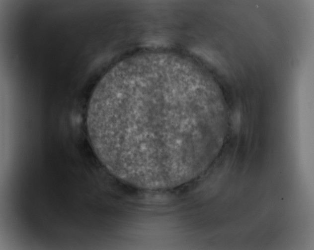 X0000092101254200710031206