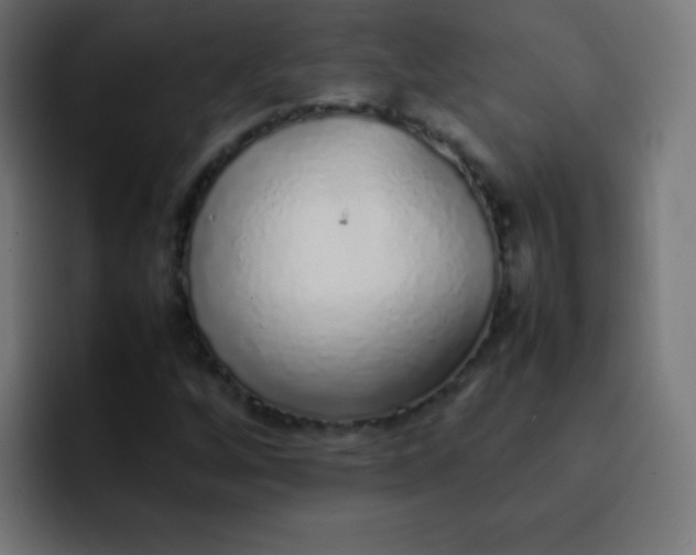 X0000092101256200710031206