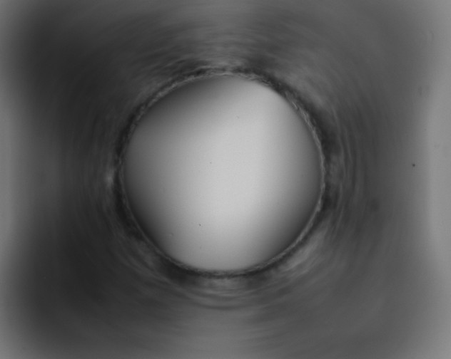 X0000092101257200710031206