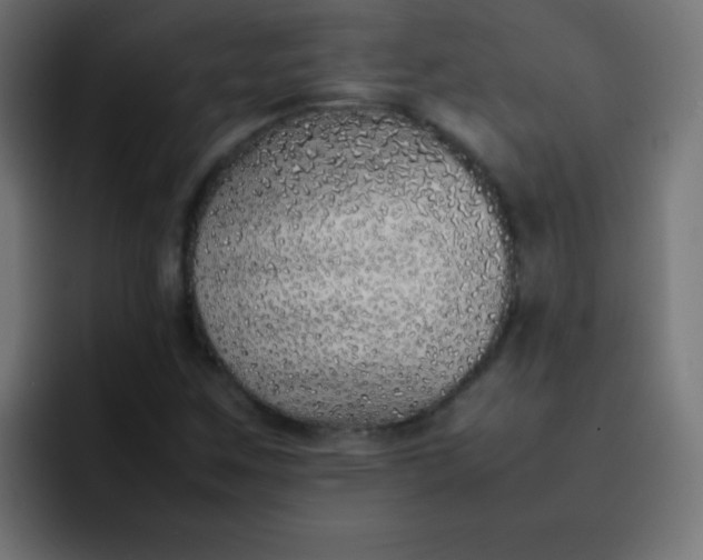 X0000092101259200710031206