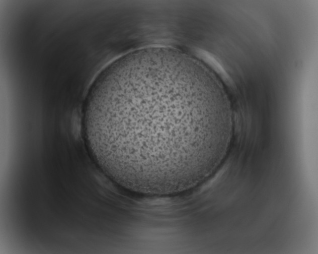 X0000092101260200710031206