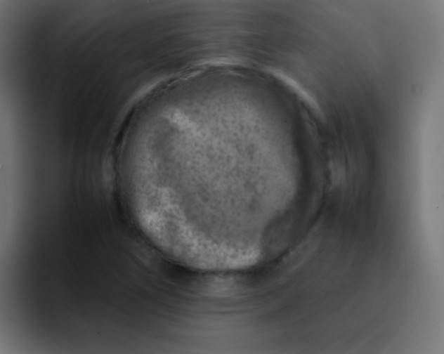 X0000092101266200710031206