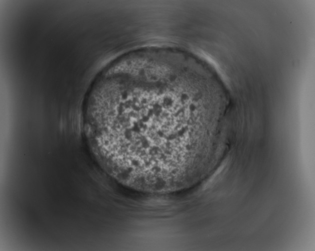 X0000092101267200710031206