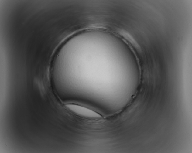 X0000092101268200710031206