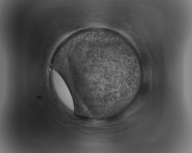 X0000092101271200710031206