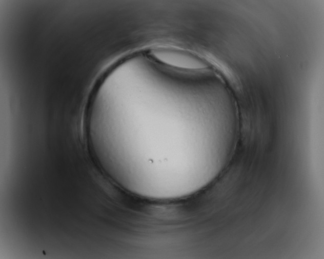 X0000092101272200710031206