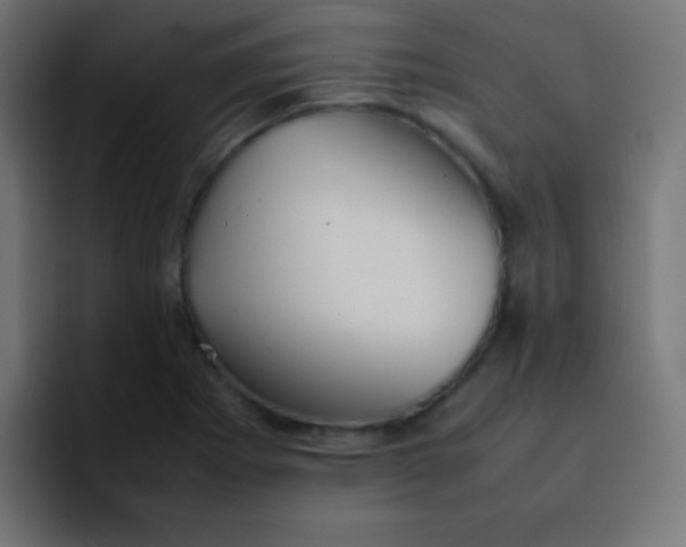 X0000092101273200710031206