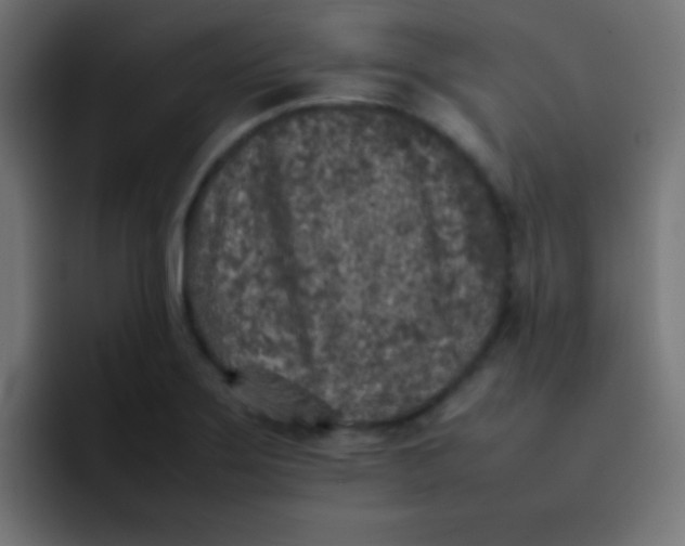 X0000092101275200710031206