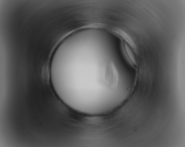 X0000092101276200710031206