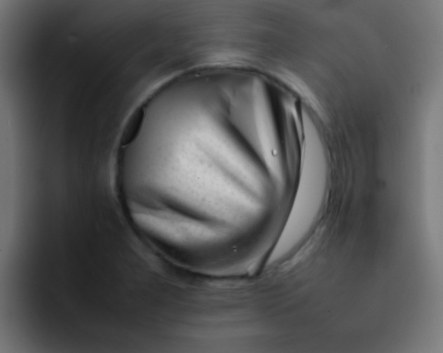 X0000092101277200710031206