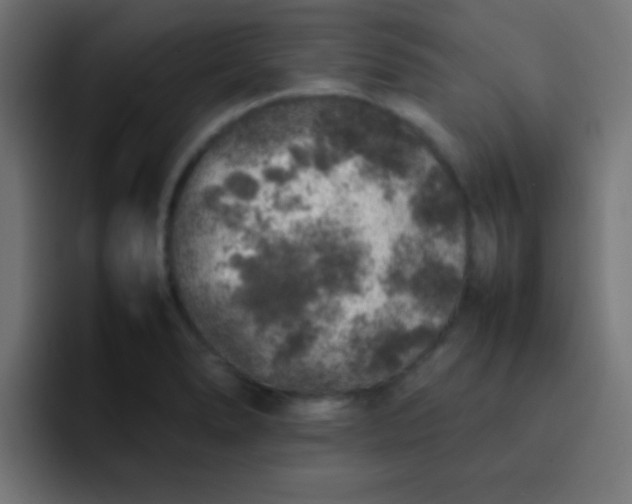 X0000092101278200710031206