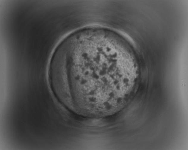 X0000092101279200710031206