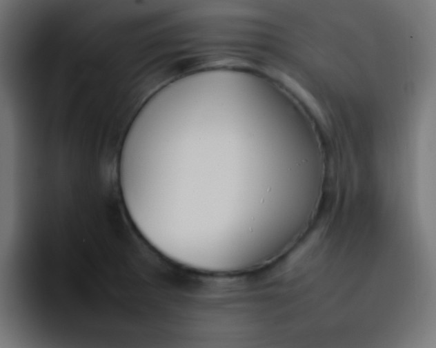 X0000092101281200710031206