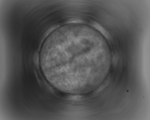 X0000092101282200710031206