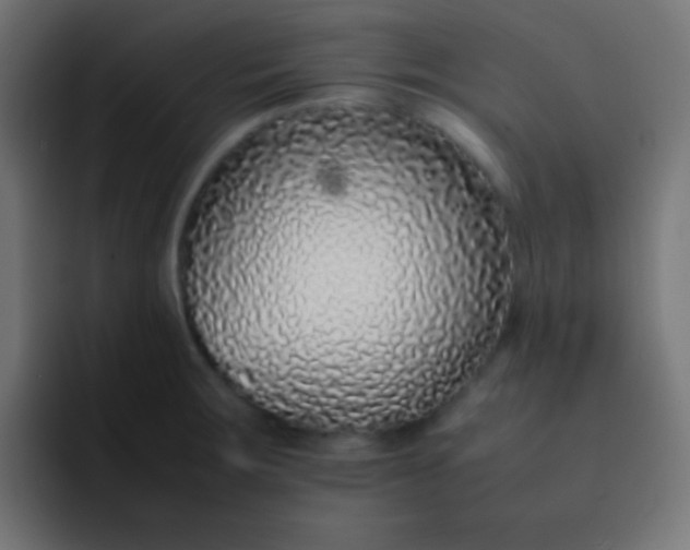 X0000092101283200710031206