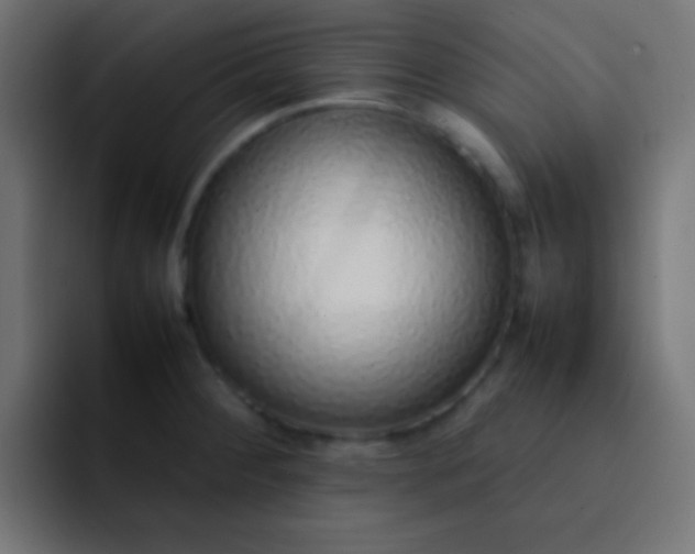 X0000092101284200710031206