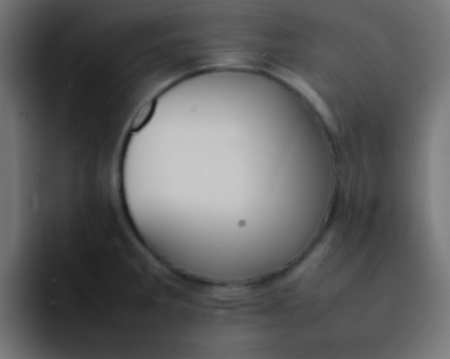 X0000092101285200710031206