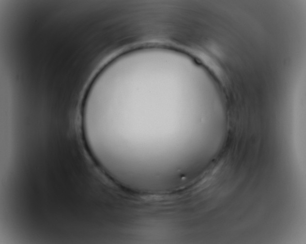 X0000092101287200710031205