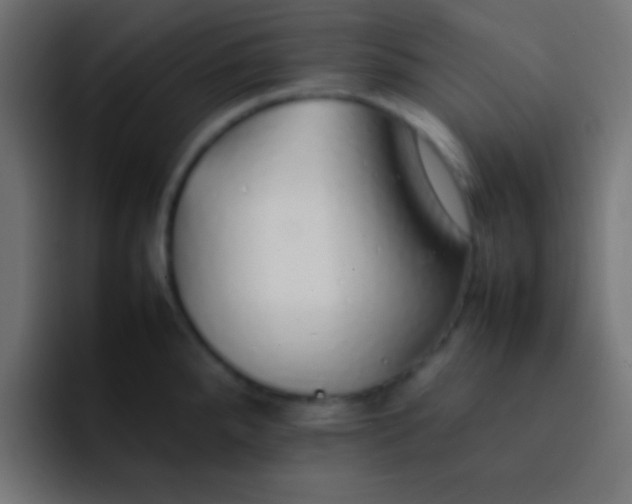 X0000092101288200710031205