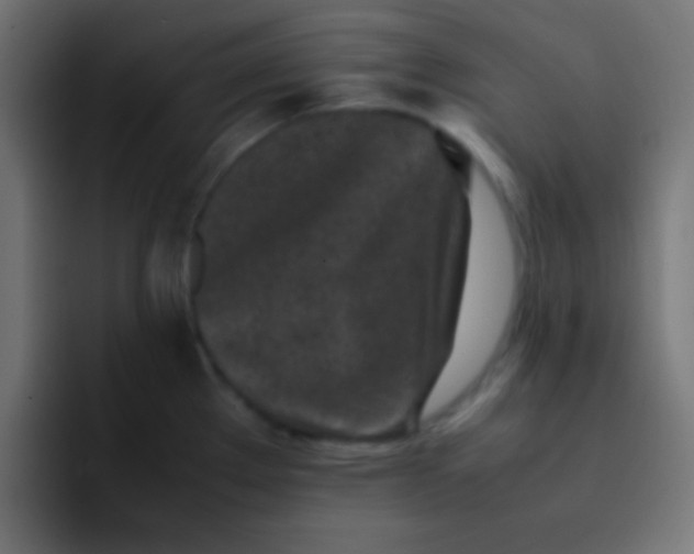 X0000092101289200710031205