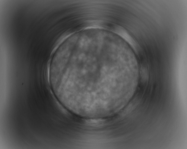 X0000092101290200710031205