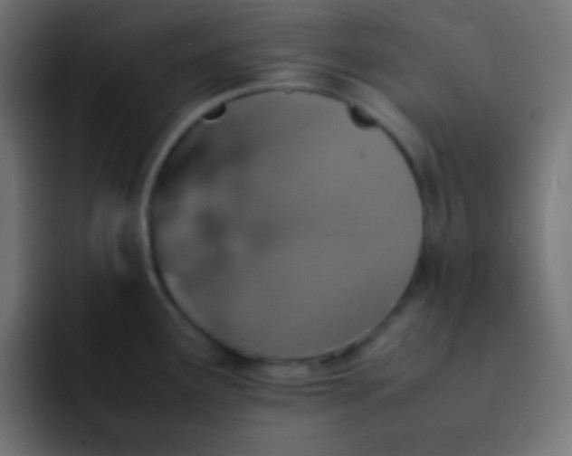 X0000092101291200710031205