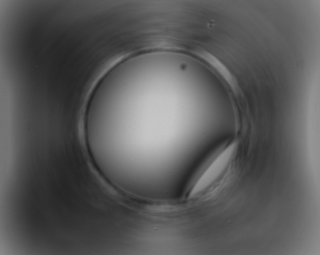 X0000092101293200710031205