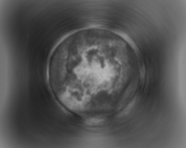 X0000092101294200710031205