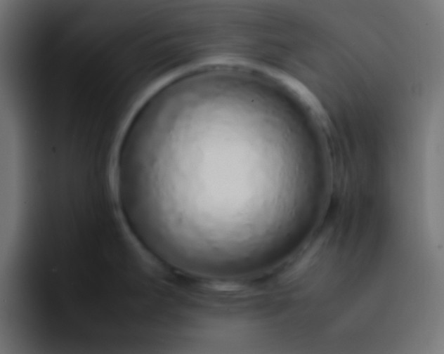 X0000092101295200710031205