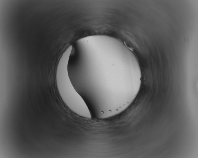 X0000092101298200710031205