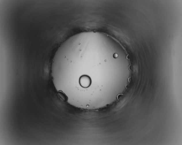 X0000092101300200710031205