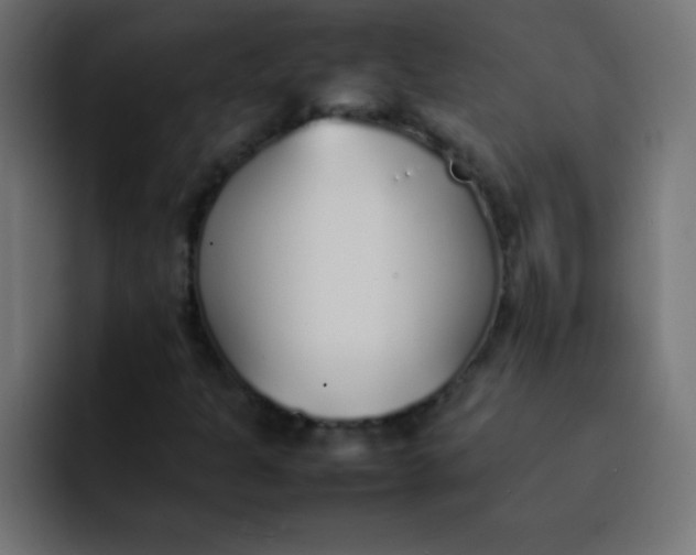 X0000092101301200710031205