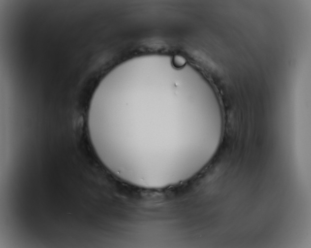 X0000092101302200710031205